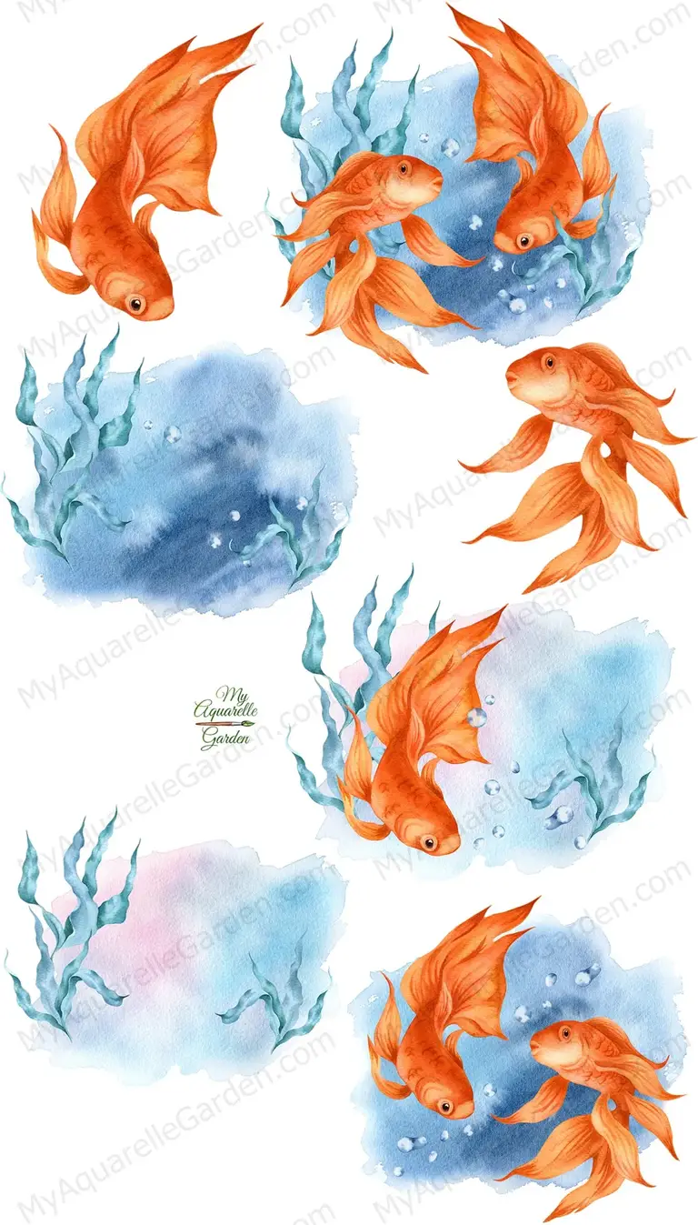 Goldfish. Under water (backgrounds). Watercolor hand-drawn clip art by MyAquarelleGarden.