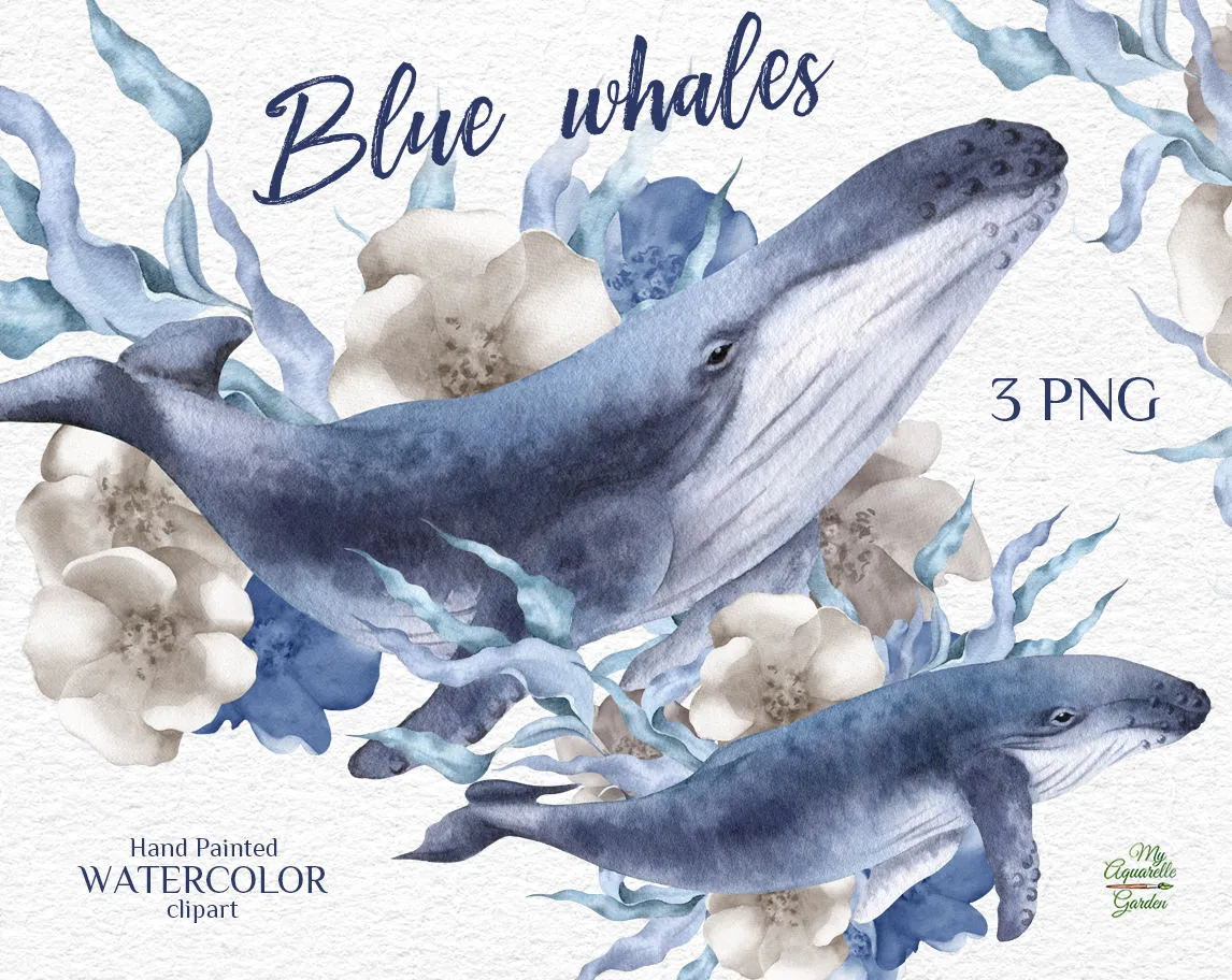 Blue whales with seagrass and flowers. Watercolor hand-painted clip art. Cover.