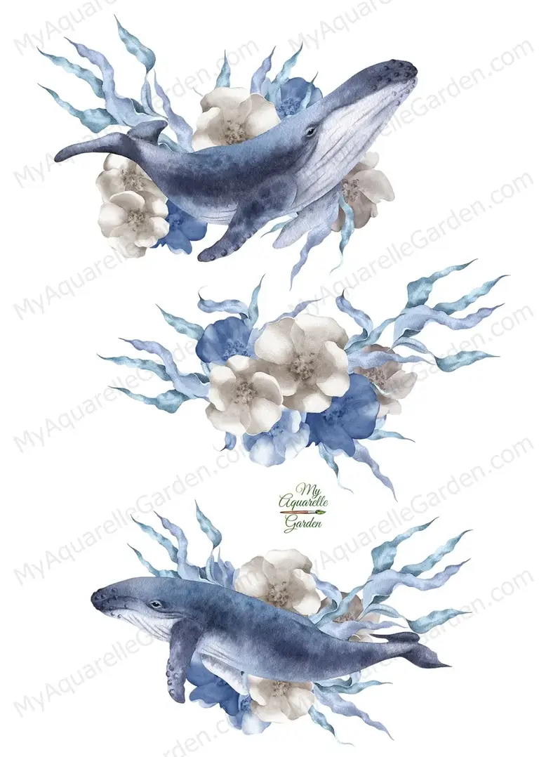 Blue whales with seagrass and flowers. Watercolor clip art by MyaquarelleGarden..