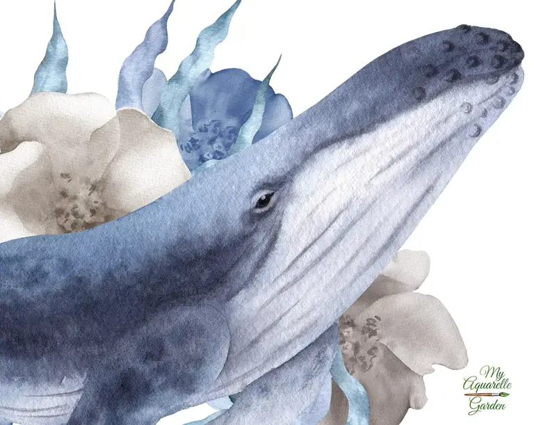 Blue whales with seagrass and flowers. Close up. Watercolor clip art by MyaquarelleGarden.