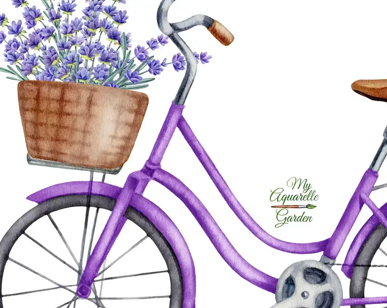 Coloured bicycles. Watercolor hand-painted clip art.