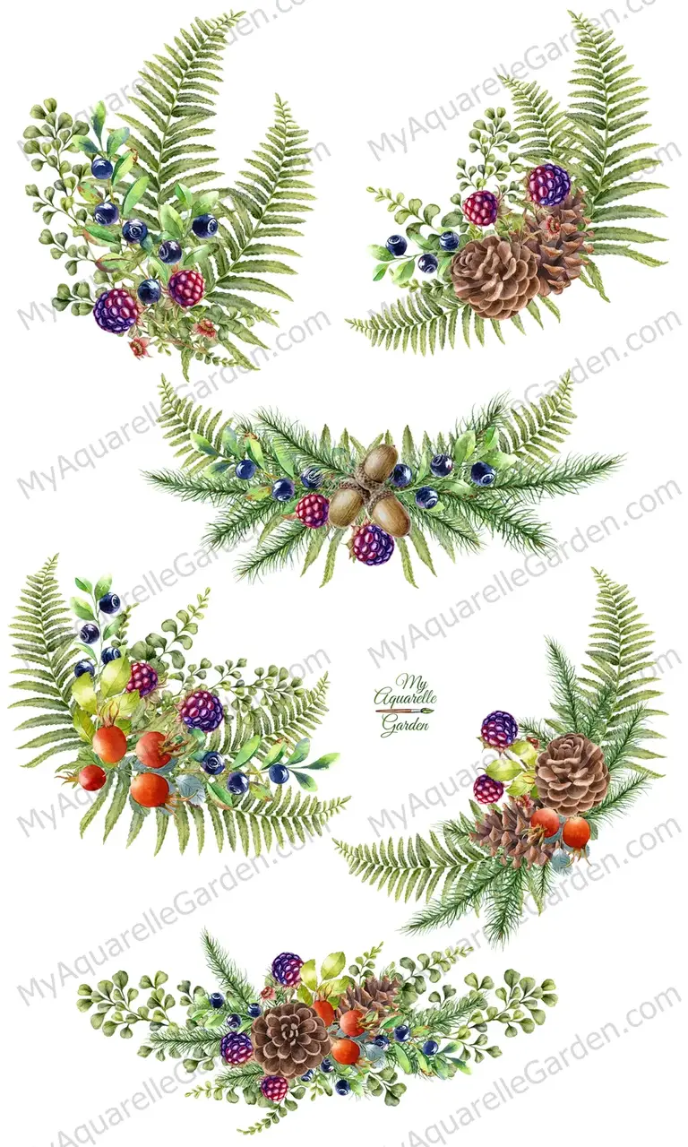 Forest plants.  Watercolor clipart by MyAquarelleGarden