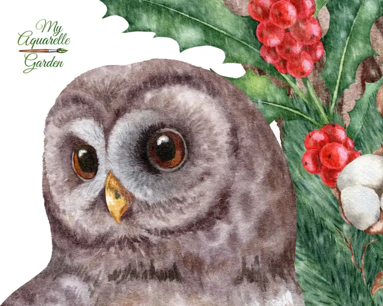 Christmas wreaths, garlands and owls. Watercolor hand-painted clipart.