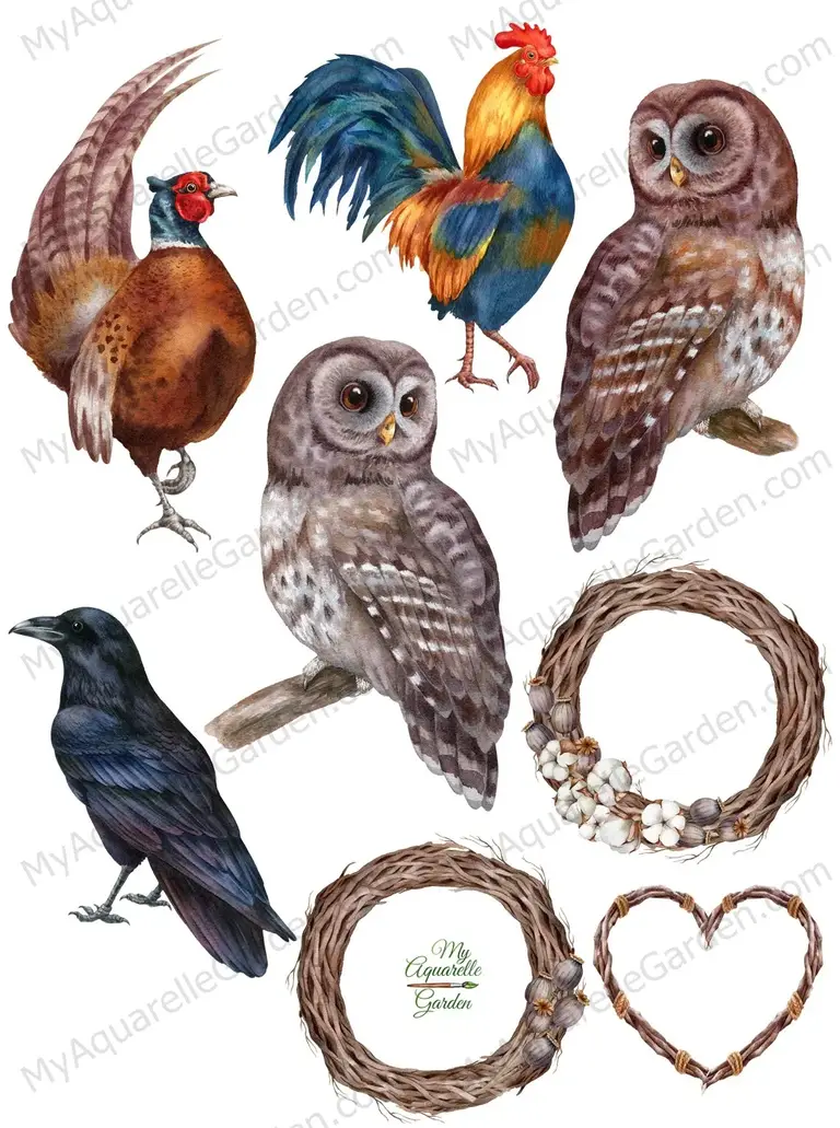 Birds. Pheasant, owl, raven, rooster. Dried floral wreath. Watercolor-hand-painted clip art.