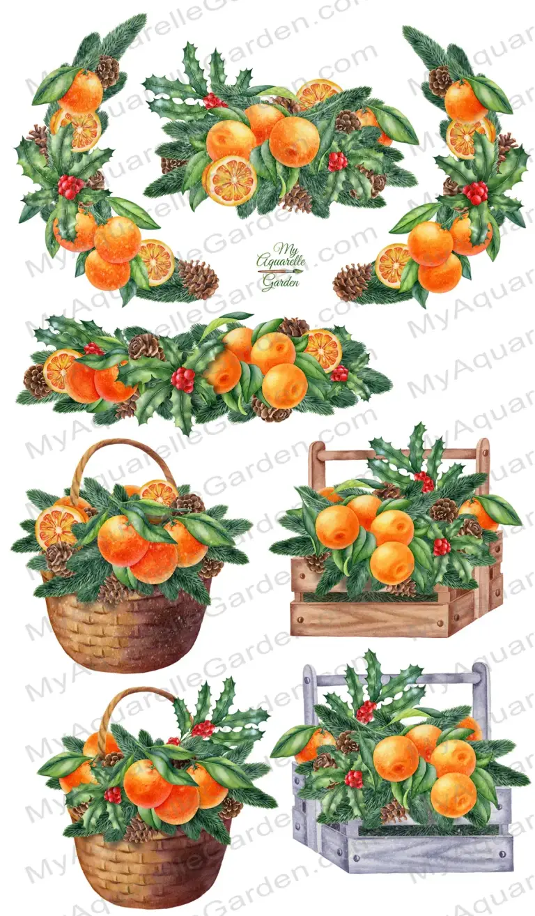 Christams wreaths. Holly, ilex garlands with tangerines, fir twigs, cones, baskets, wooden crates. Watercolor hand-painted clipart.