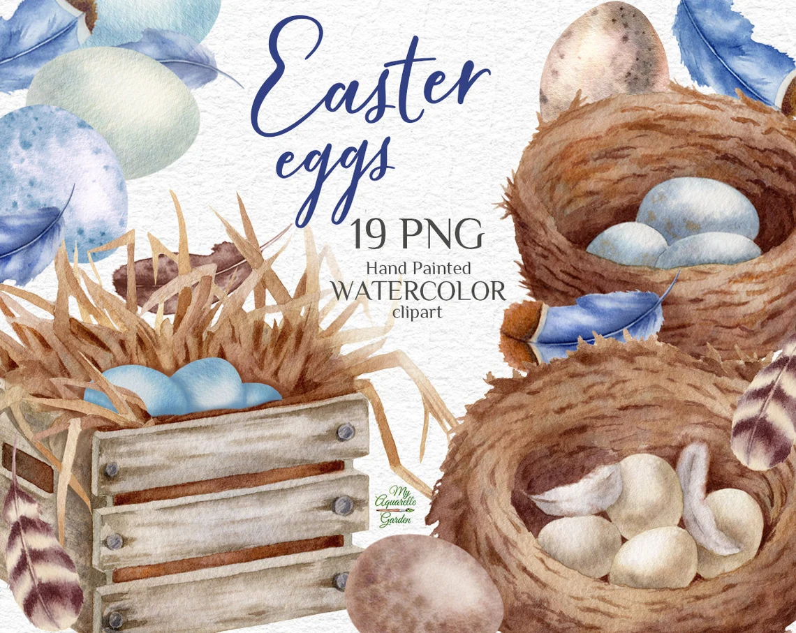 Easter decoration. Bird eggs, feathers, nests. Watercolor hand-painted clip art. Cover.