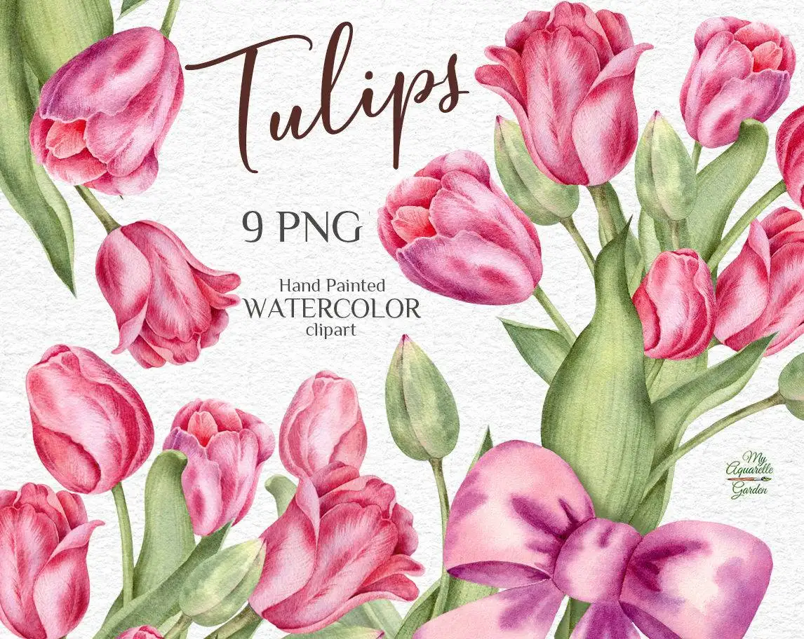 pink-tulips-watercolor-hand-painted-clipart-cover