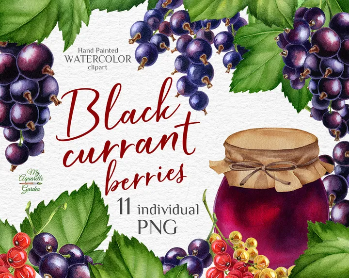 Black, red and white currant. Jam in glass jar. Watercolor hand-painted clipart. Cover.