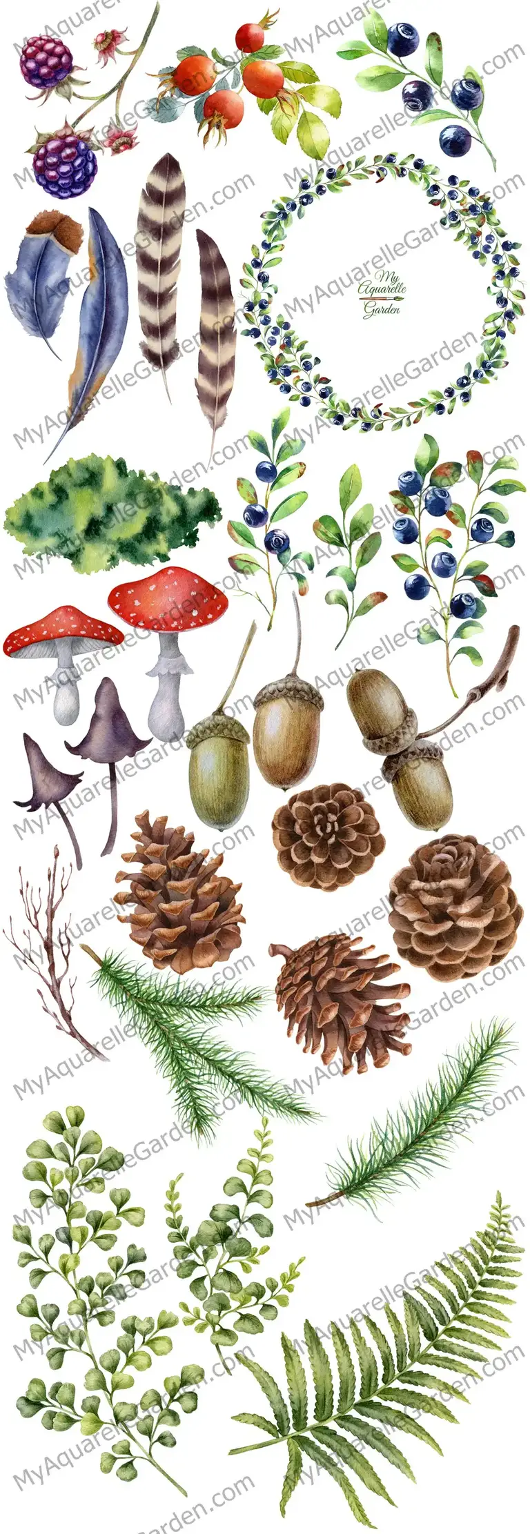 Woodland plants. Watercolor hand-painted clipart.