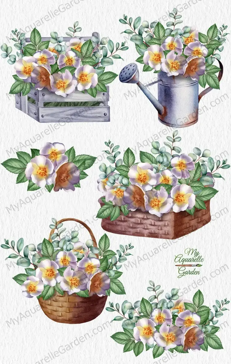 White rose hip, dog-rose bouquets illustrations. Gardening tools: watering can, wooden crate, basket. Watercolor hand-painted clipart.