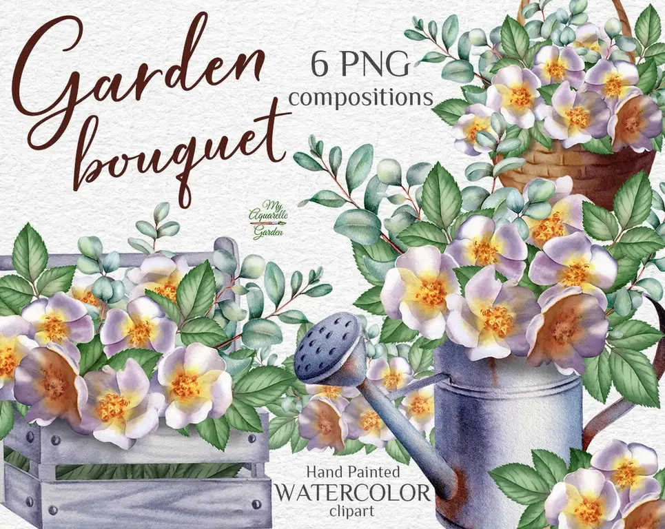 White rose-hip bouquets. Gardening theme. Watercolor hand-painted clipart. Cover.