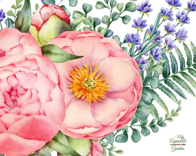 Peony bouquets. Wreaths. Watercolor hand-painted clipart.