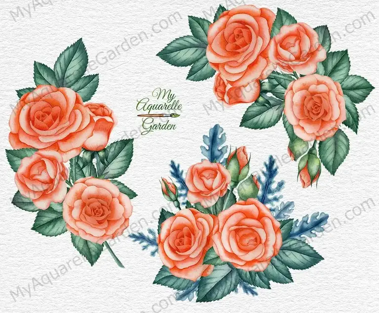 Vintage peach roses compositions. Watercolor hand-drawn clipart.