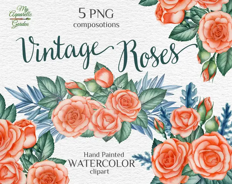 Peach roses compositions. Watercolor hand-painted clipart. Cover.
