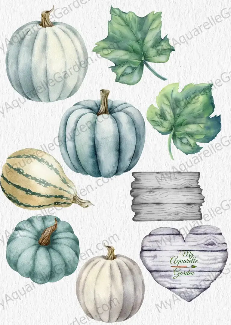Green pumpkins with leaves and wooden road-sign. Watercolor hand-painted clipart.