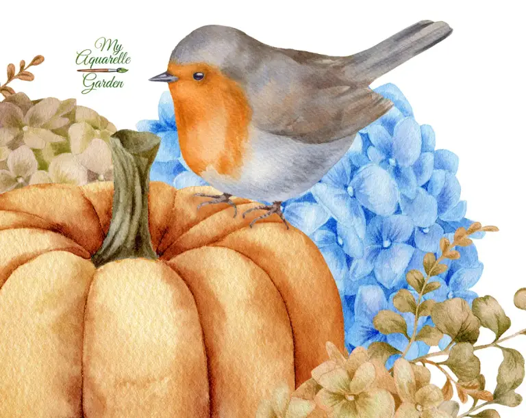 Hydrangea, pumpkins, birds. Compositions in rustic style. Watercolor clipart by MyAquarelleGarden. Close-up.