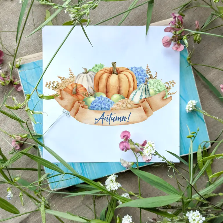 Hydrangea, pumpkins, birds. Compositions in rustic style. Watercolor clipart by MyAquarelleGarden.