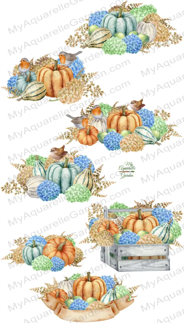Hydrangea, pumpkins, birds. Compositions in rustic style. Watercolor clipart by MyAquarelleGarden.