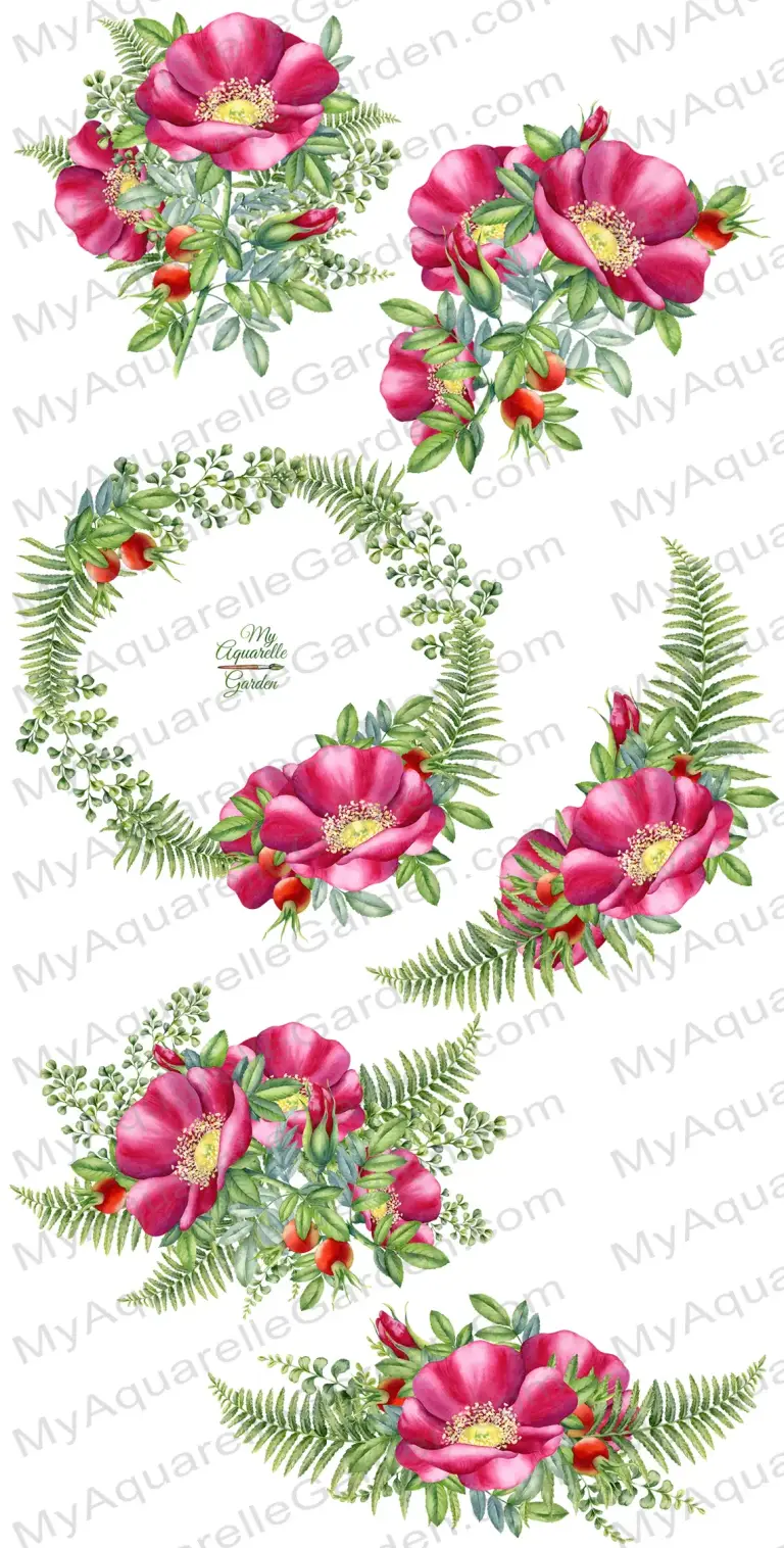 Wild rose, rosehip and fern garlands and wreaths.  Watercolor hand-painted clipart by MyAquarelleGarden.