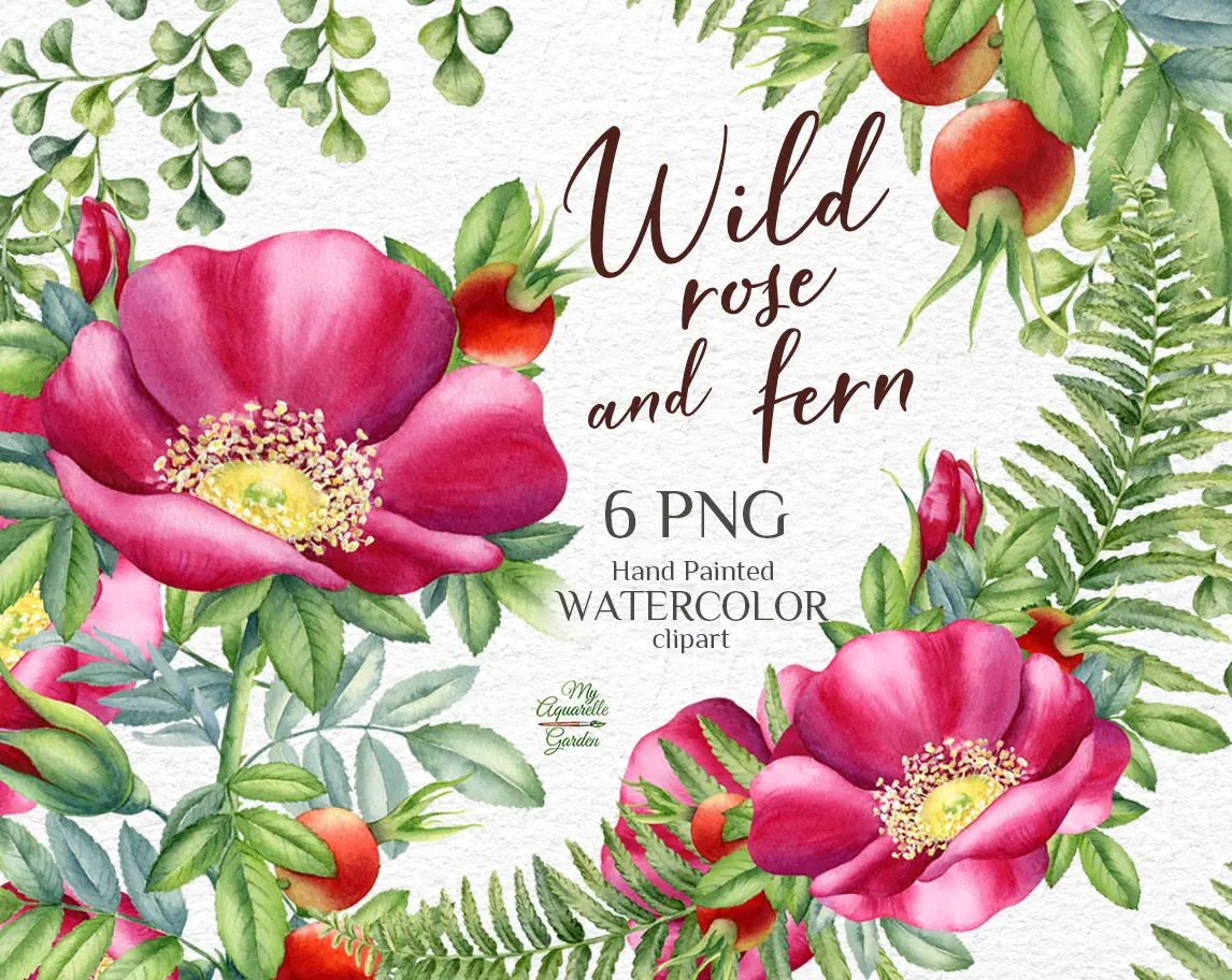 Wild rose, rosehip, fern garlands and wreaths. Watercolor hand-painted clipart. Cover