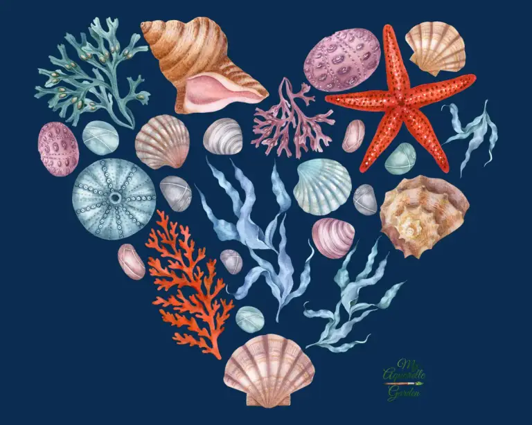  Saeshells heart. Under the sea. Ocean creatures. Corals, seashells, starfishes, pebbles, seaweed/alga. Watercolor hand-painted illustrations by MyAquarelleGarden