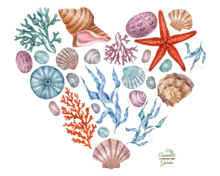  Saeshells heart. Under the sea. Ocean creatures. Corals, seashells, starfishes, pebbles, seaweed/alga. Watercolor hand-painted illustrations by MyAquarelleGarden