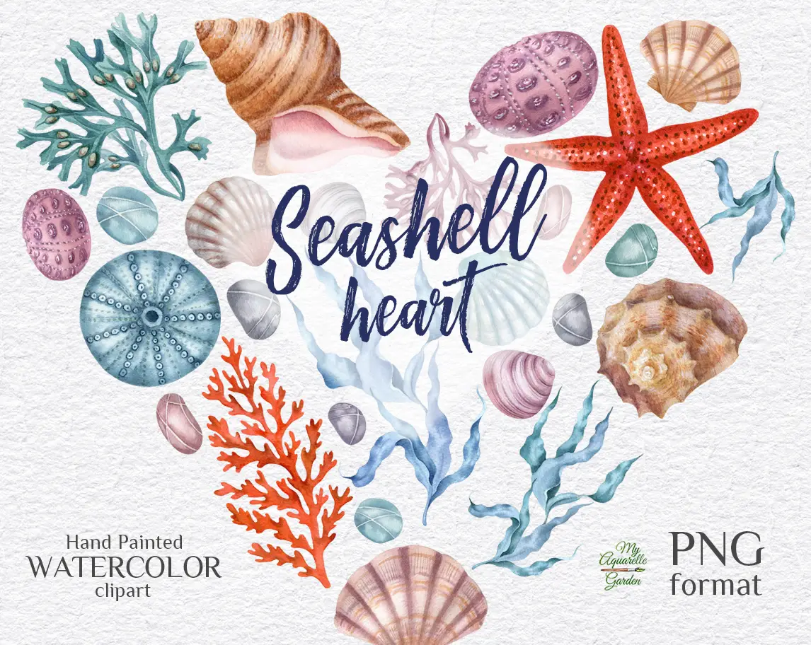 Nautical elements. Saeshells heart. Under the sea. Ocean creatures. Corals, seashells, starfishes, pebbles, seaweed/alga. Watercolor hand-painted clip art. Cover.