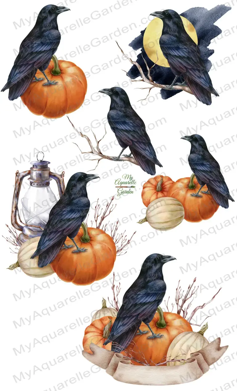 Raven, pumpkins, moon, dried floral wreath. Halloween and gothic compositions.  Watercolor hand-painted illustrations for personal and commercial use.
