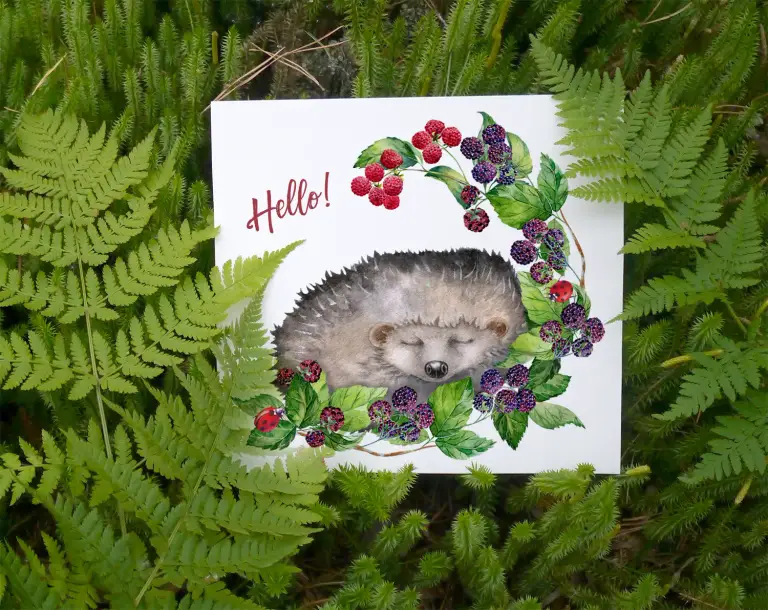  Sleeping hedgehog. Compositions withs apples, flowers, berries. Watercolor-hand-painted clip art.