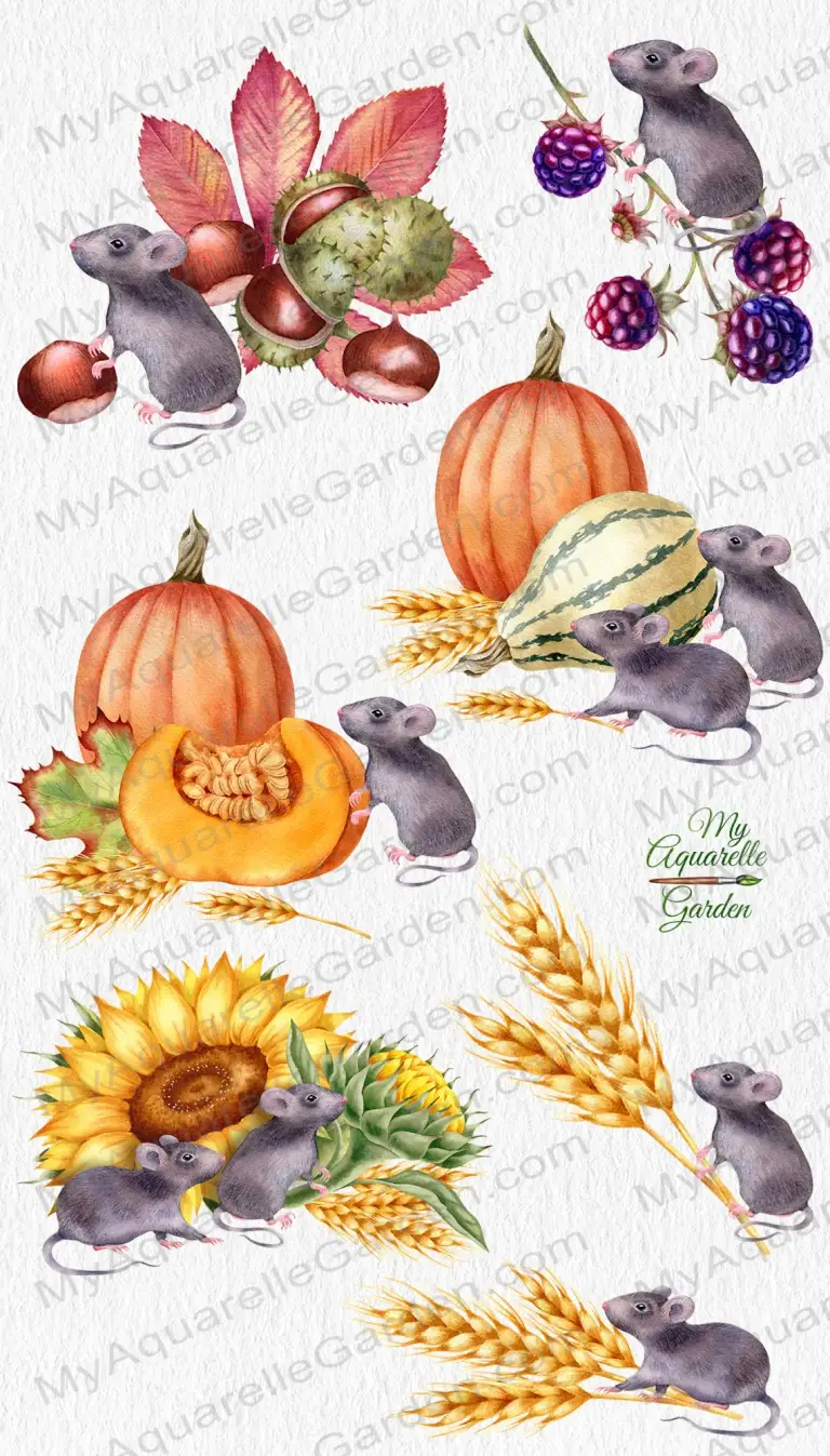  Fall mood & harvesting time. Compositions with mouse, pumpkins, leaves, sunflowers, chestnuts, spikelets.  Watercolor-hand-painted clip art.