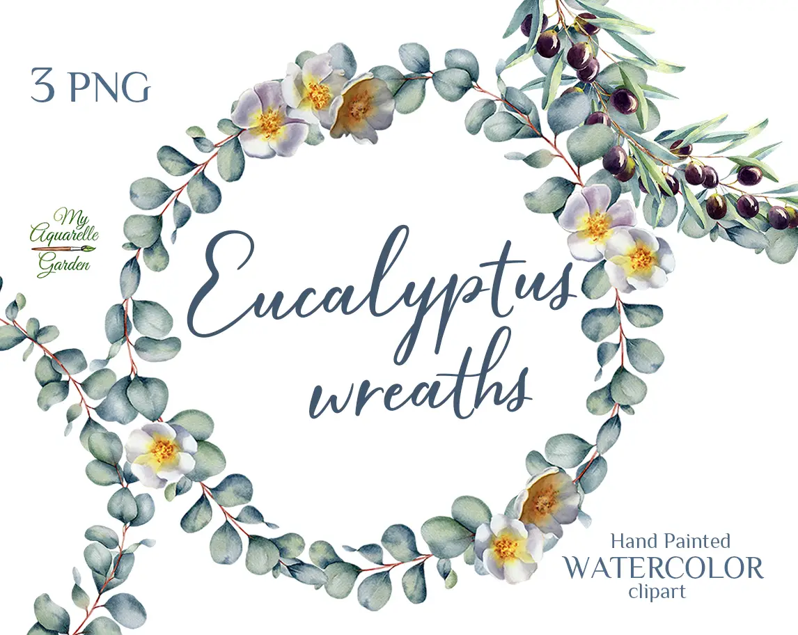   Eucalyptus wreaths. Exotic tropical plants. Watercolor hand-painted clip art by MyAquarelleGarden. Cover.