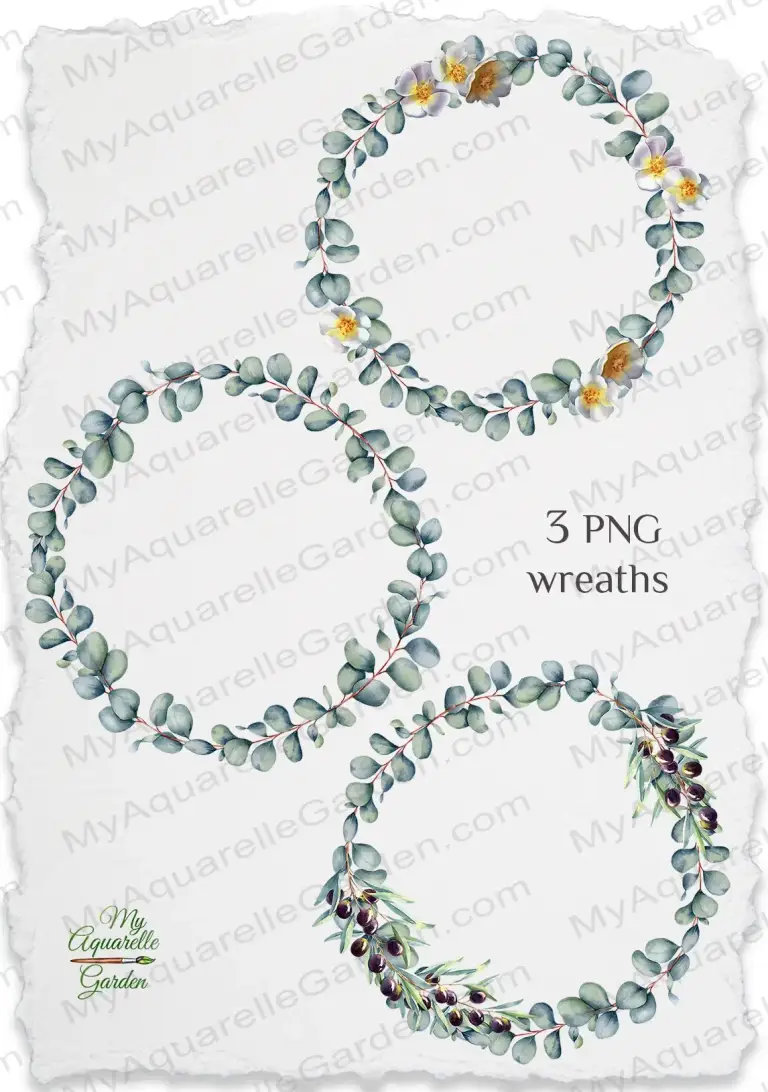  Eucalyptus wreaths. Exotic tropical plants. Watercolor hand-painted clipart.