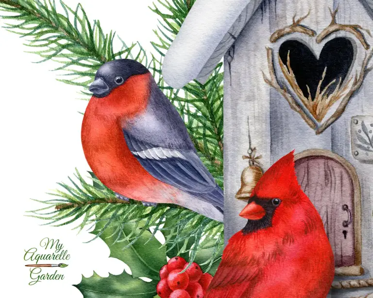  Winter birds, birdhouses, fir twigs. Red cardinal, robin, blue jay, bullfinch. Watercolor hand-painted clipart.