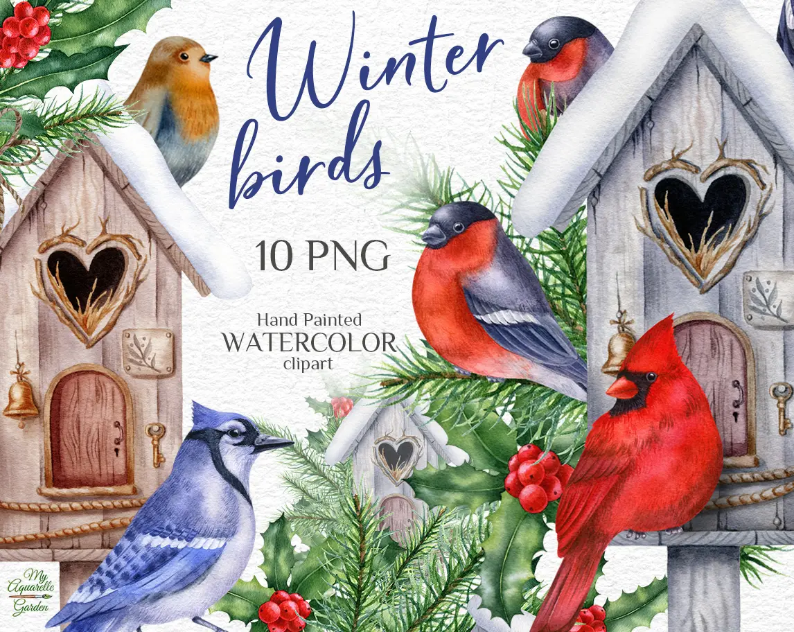 Winter birds, birdhouses, fir twigs. Red cardinal, robin, blue jay, bullfinch. Watercolor hand-painted clipart by MyAquarelleGarden.com
