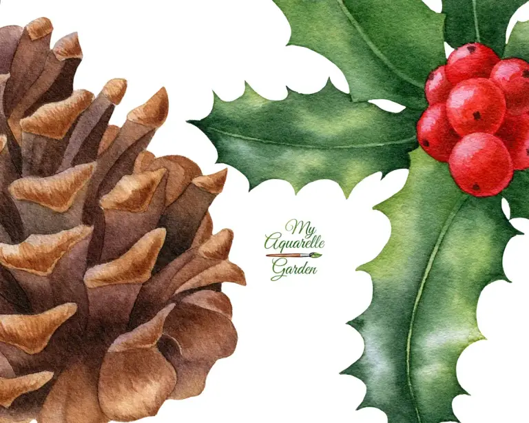 Christmas decoration elements: Ilex/holly twigs, fir branches, pine cones, bows, paper tags & labels, punchettia flowers, berries. Watercolor hand-painted clipart.