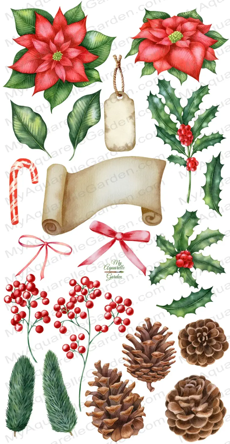 Christmas decoration elements: Ilex/holly twigs, fir branches, pine cones, bows, paper tags & labels, punchettia flowers, berries. Watercolor hand-painted clipart.