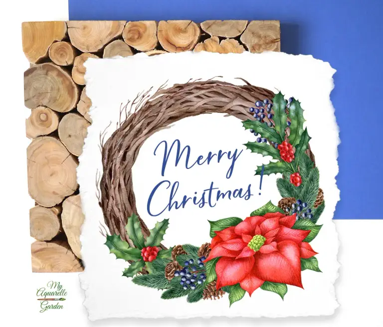 Christmas wreaths with dry twigs, fir branches, ilex / holly, poinsettia flowers. Watercolor hand-painted clipart.