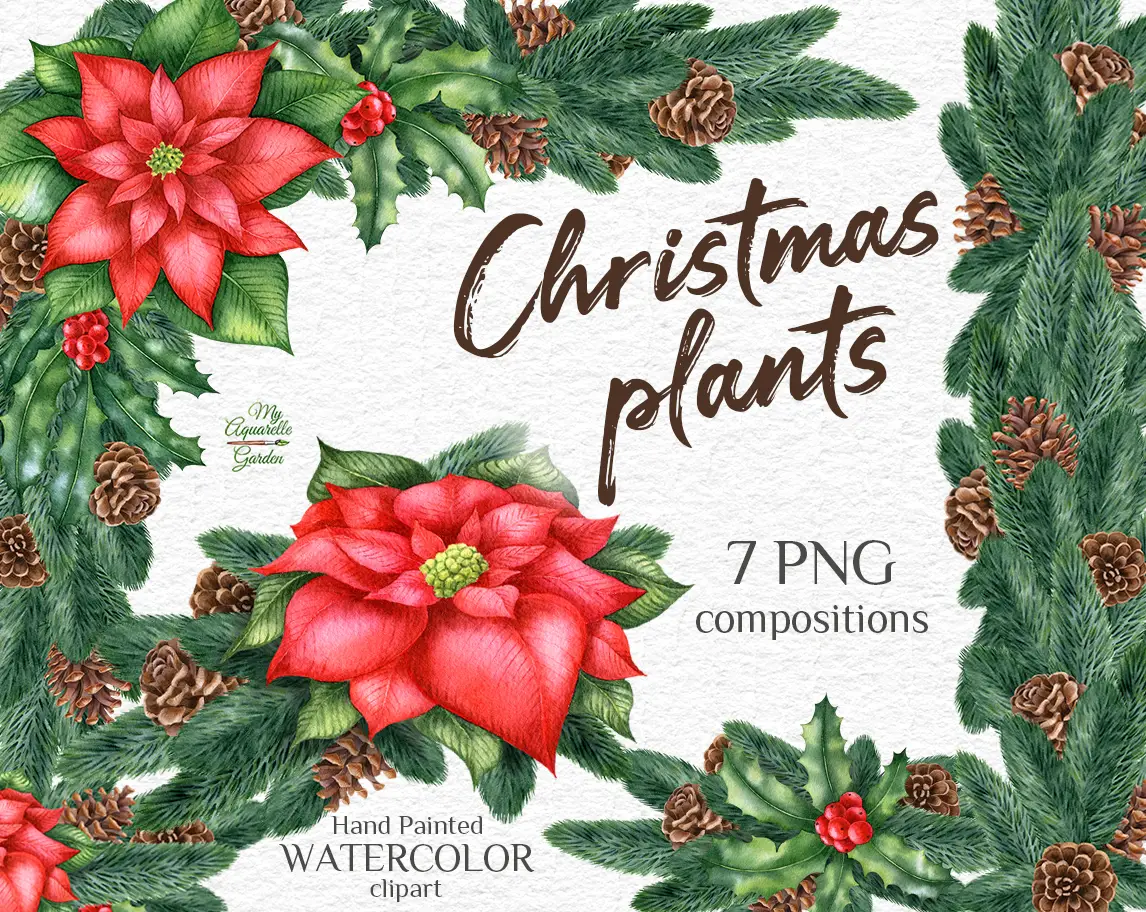 Christmas decoration. Wreaths and borders with fir twigs, pine cones, ilex holly branches, poinsettia flowers. Watercolor hand-painted clipart by MyAquarelleGarden.com