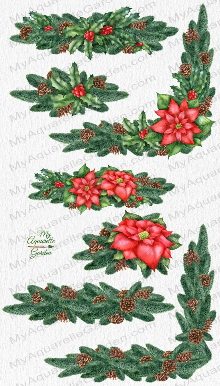 Christmas decoration. Wreaths and borders with fir twigs, pine cones, ilex holly branches, poinsettia flowers. Watercolor hand-painted clipart.