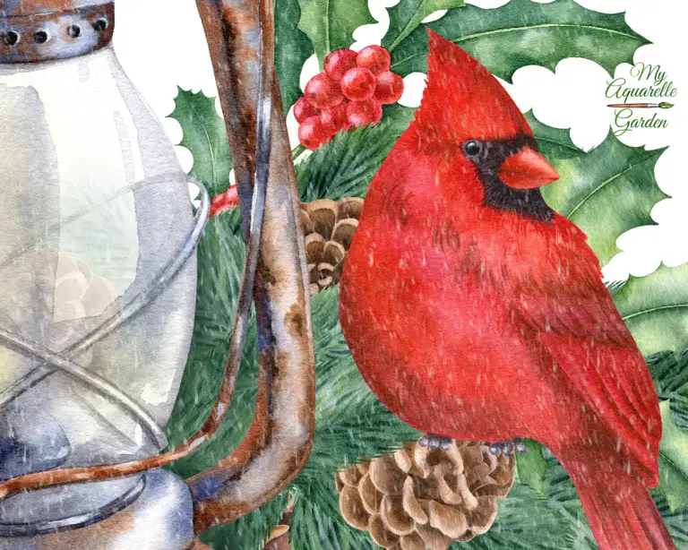 Red cardinal, fir branches, pine cones, illex holly twigs, old vintage kerosene lamp. Watercolor hand-painted clipart.