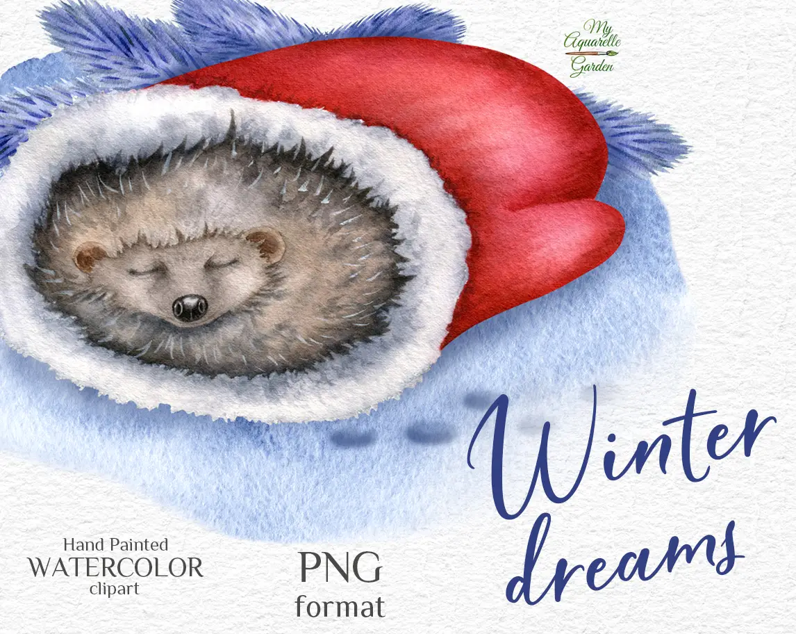  Cute sleeping hedgehog. Red mittens. Winter, Christmas, New Year theme. Watercolor hand-painted clipart by MyAquarelleGarden.com