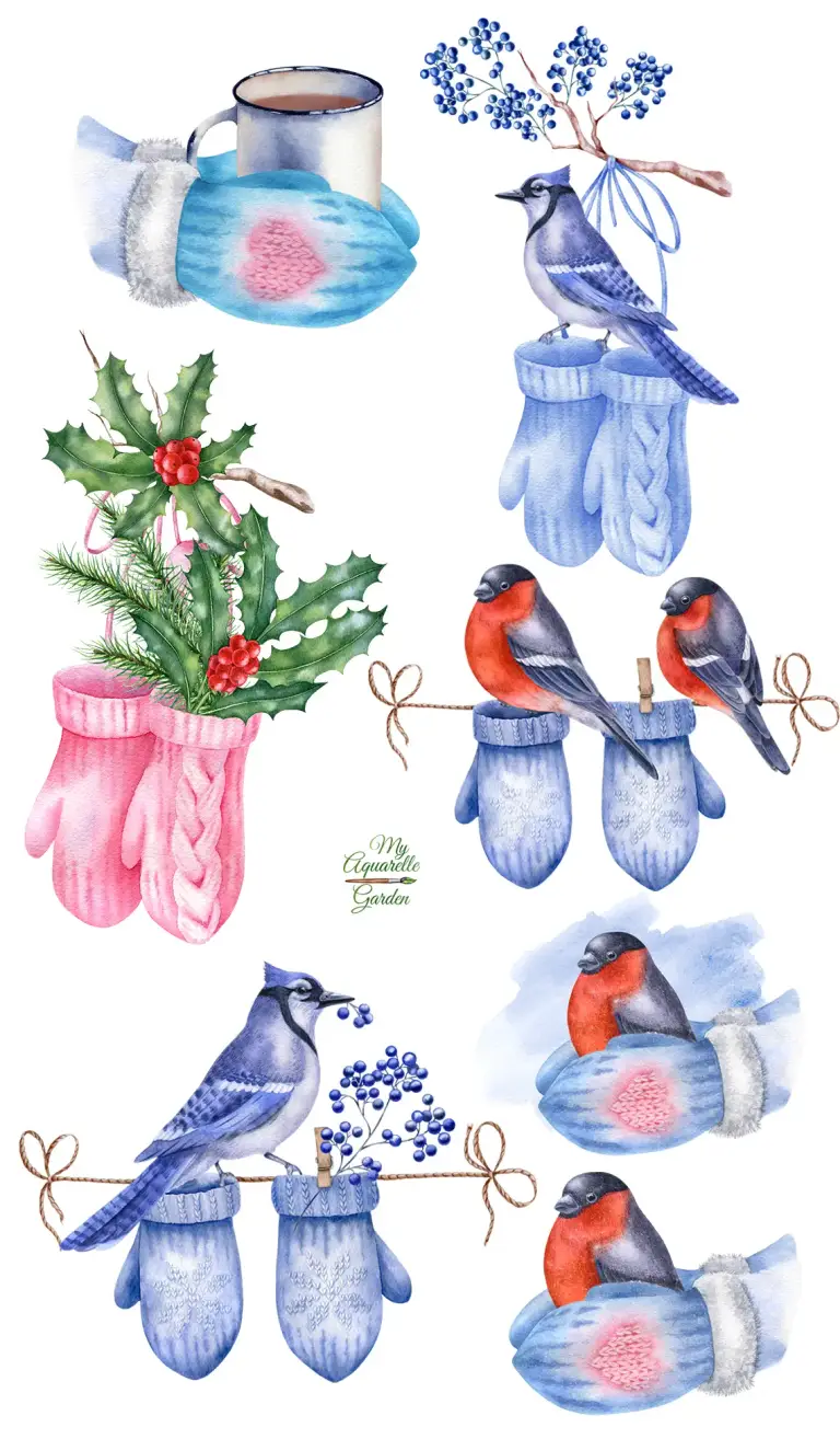 Winter story. Bullfinch, blue jay, knitted wool kids mittens, fir twigs, iron mug with hot cocoa. Watercolor hand-painted clipart.