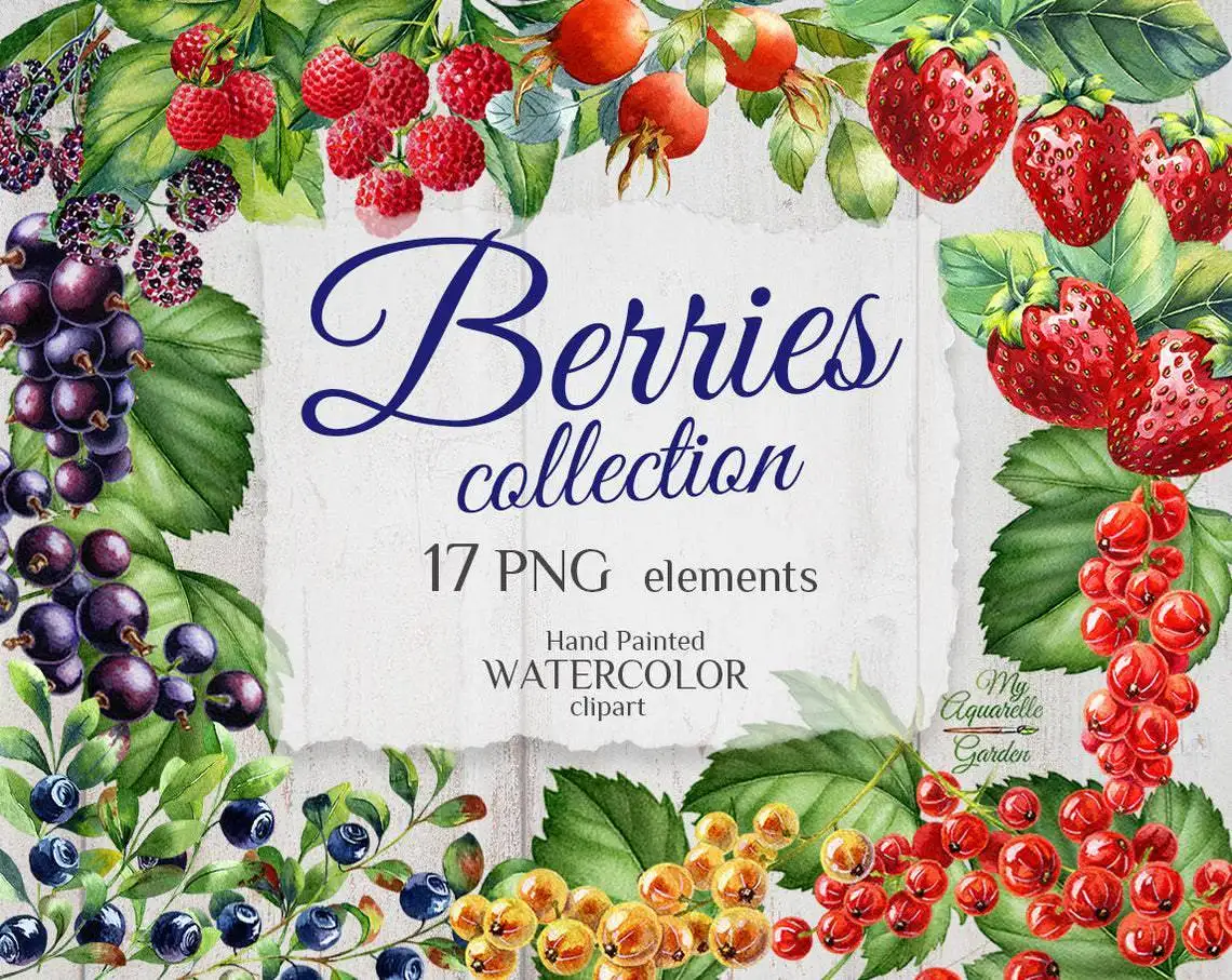 berries-collection-watercolor-hand-painted-clipart-by-myaquarellegarden