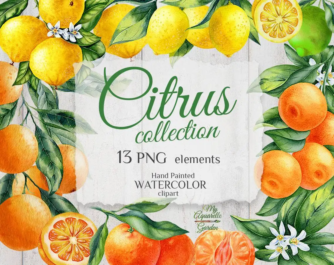 Lemon, orange and citrus fruits. Watercolor hand-painted clipart by MyAquarelleGarden. Cover.