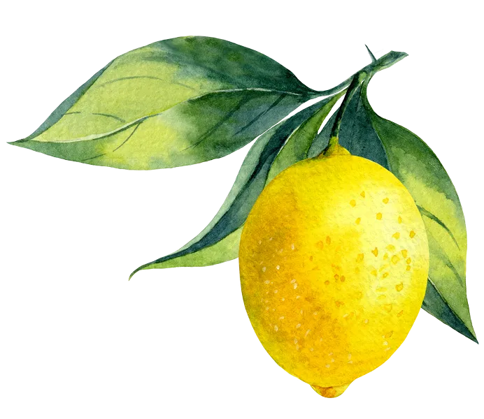 Lemon branch. Watercolor clipart. MyAquarelleGarden.