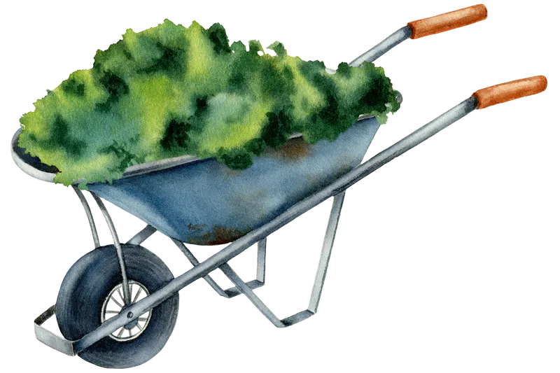 Wheelbarrow. Gardening watercolor clipart by MyAquarelleGarden.