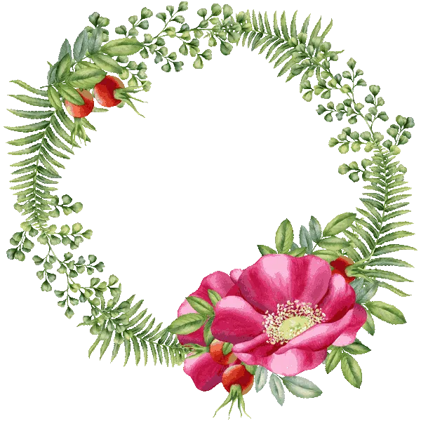 Wild rose wreath. Watercolor cliaprt by MyAquarelleGarden.