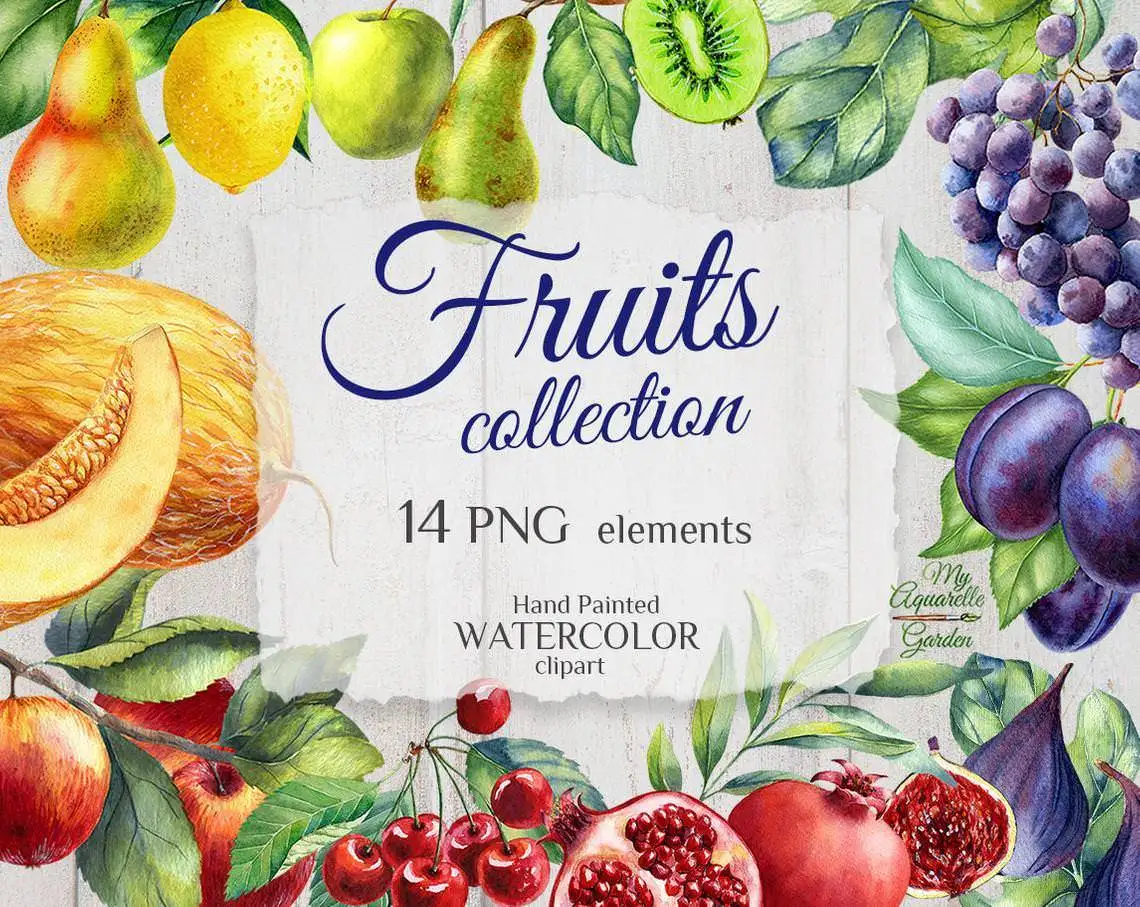 Fruits. Watercolor hand-painted clipart by MyAaquarelleGarden.