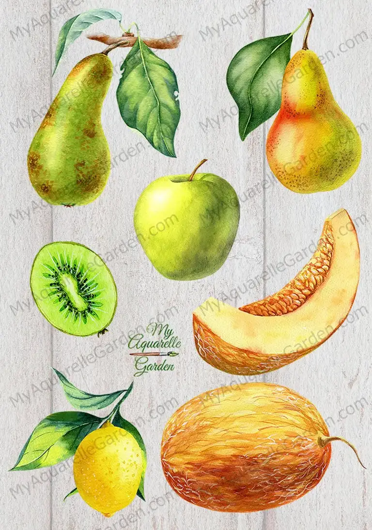 Fruits. Watercolor hand-painted clipart by MyAaquarelleGarden.