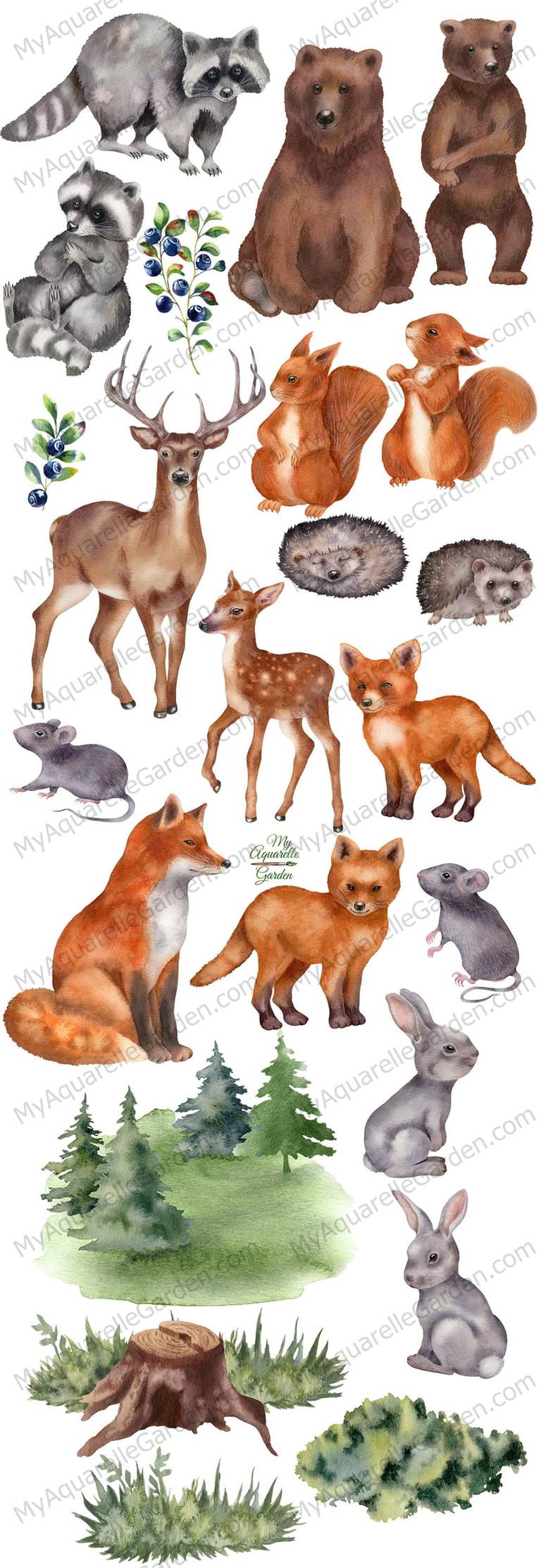 woodland-animals-watercolor-hand-painted-clipart-myaquarellegarden-1